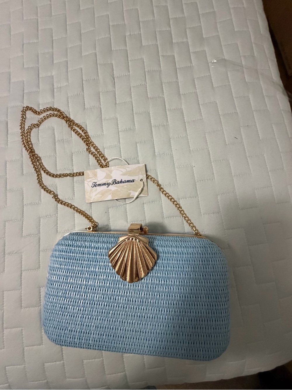 Tommy Bahama Pale Blue Woven Shell Clutch with Gold Chain